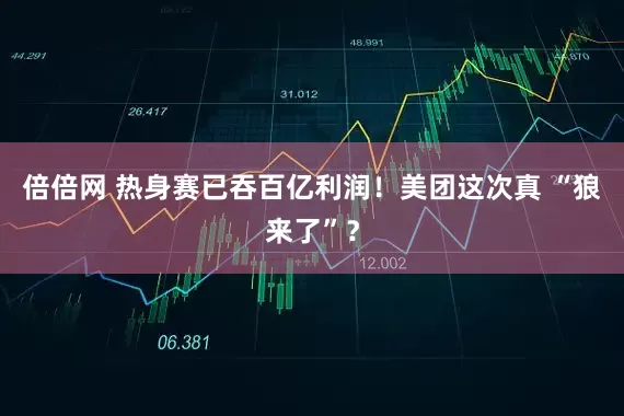 倍倍网 热身赛已吞百亿利润！美团这次真 “狼来了”？