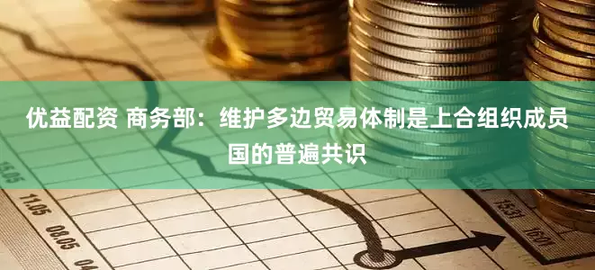 优益配资 商务部：维护多边贸易体制是上合组织成员国的普遍共识