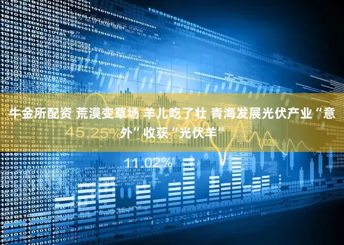 牛金所配资 荒漠变草场 羊儿吃了壮 青海发展光伏产业“意外”收获“光伏羊”